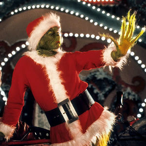 Meet your Posher, Callie